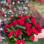 The Bride'S Flower - Red